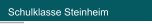 Schulklasse Steinheim