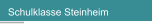Schulklasse Steinheim